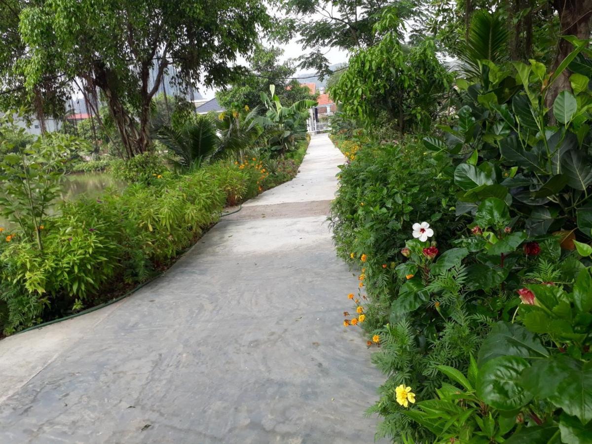 Tuyet'S Hostel Ninh Binh Eksteriør billede